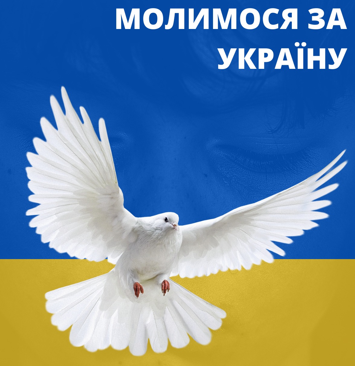 За понад два місяці війни Метінвестом було спрямовано 1 млрд 176 млн гривень на підтримку країни user/common.seoImage