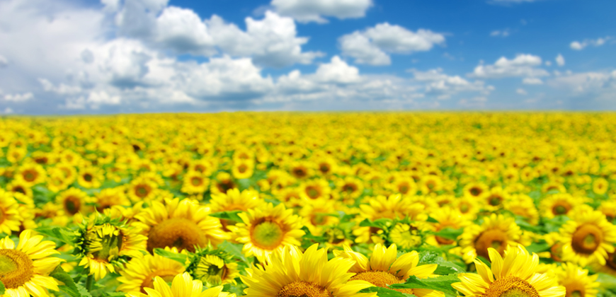 World Economic Forum 2022 user/common.seoImage