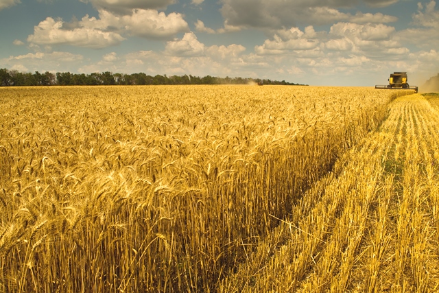 Смарт-Холдинг і СКМ завершили юридичний процес оформлення партнерства в сільськогосподарському бізнесі user/common.seoImage